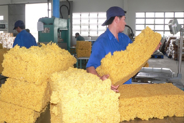 Lao dốc cả lượng và giá trị xuất khẩu, cao su Việt Nam sẽ còn đối diện nhiều khó khăn vì COVID-19